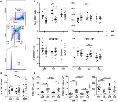 The Severe Deficiency of the Somatotrope GH-Releasing Hormone/Growth Hormone/Insulin-Like Growth Factor 1 Axis of Ghrh−/− Mice Is Associated With an Important Splenic Atrophy and Relative B Lymphopenia